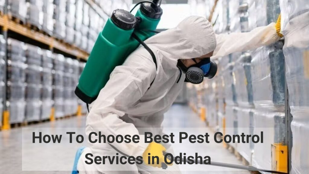 How To Choose Best Pest Control Services in Odisha